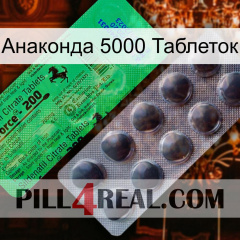 Анаконда 5000 Таблеток new04